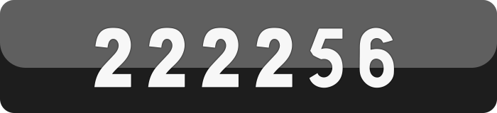 222256