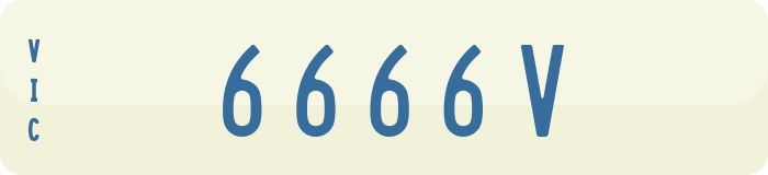 6666V