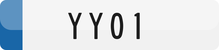 YY01