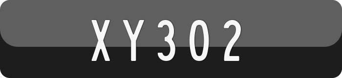 XY302