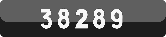 38289