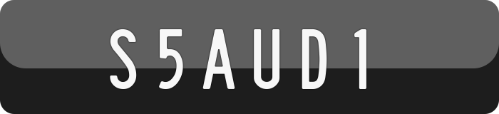 S5AUD1